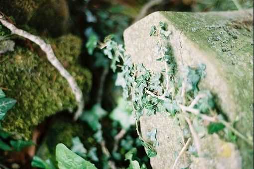 帅气拉风的王者荣耀名字 撩妹必备