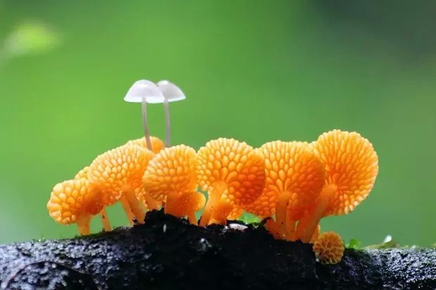唯美带符号的游戏名字_彼岸星光ぐ