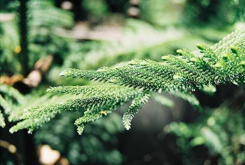 倩女幽魂手游霸气游戏名 总有一个适合你