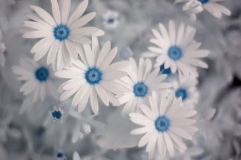 超酷的英雄联盟游戏名字_单手打酱油个性游戏名字分享！