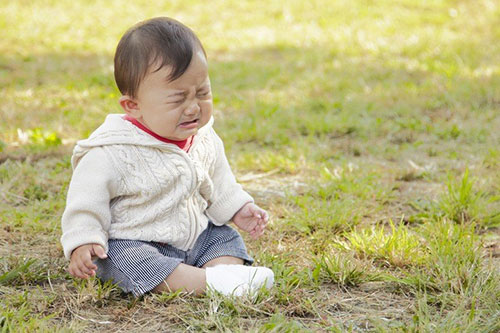 宝宝起名大全下载