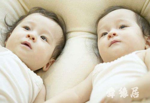 杨字起名男孩