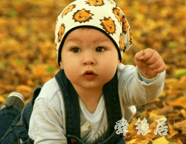 夏姓男孩名字大全2019