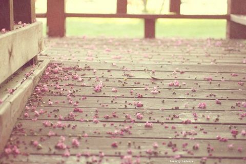 问道手游英文名字_Edinburgh°南空游戏英文名字分享！