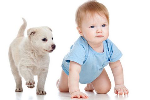 郑姓女孩名字大全分享！