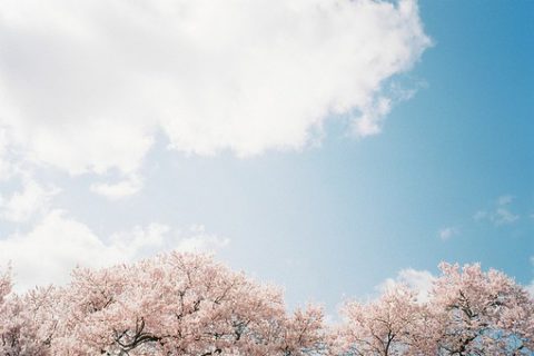 王者荣耀高端局情侣id游戏情侣名字分享！