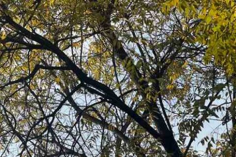 2024游戏战队网名大全游戏家族名字分享！