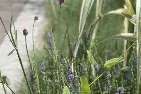 好看的纯英文游戏昵称游戏英文名字分享！