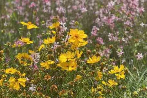 干净有野性的游戏名字个性游戏名字分享！