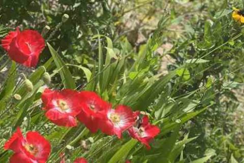 英雄联盟网名七字个性游戏名字分享！