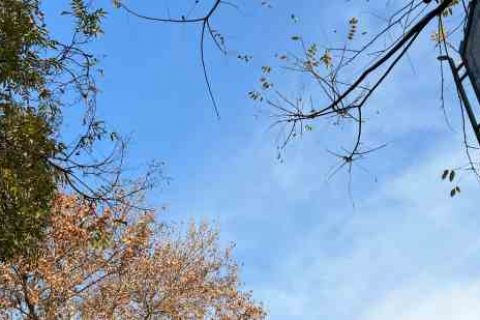 温柔唯美的女生游戏名字女生游戏名字分享！