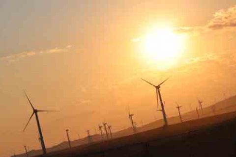 蛋仔派对昵称女生女生游戏名字分享！