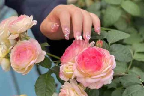 幸福温馨的游戏情侣网名游戏情侣名字分享！