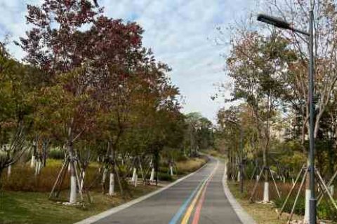 2024游戏情侣名字两个字游戏情侣名字分享！