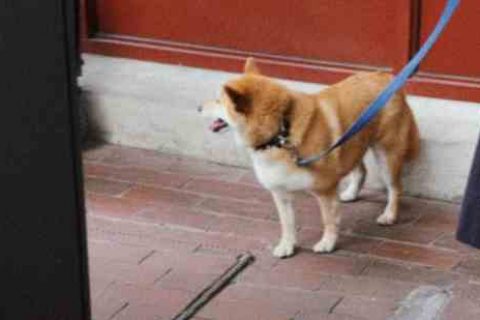 2024非主流游戏情侣名字游戏情侣名字分享！