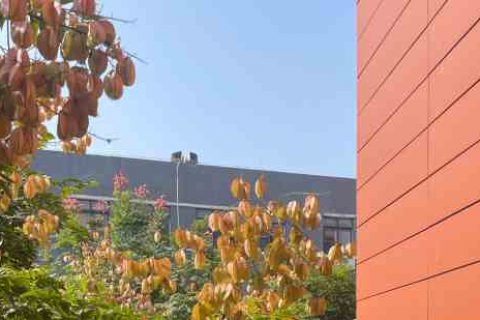 qq情侣名字三个字带i游戏QQ名字分享！