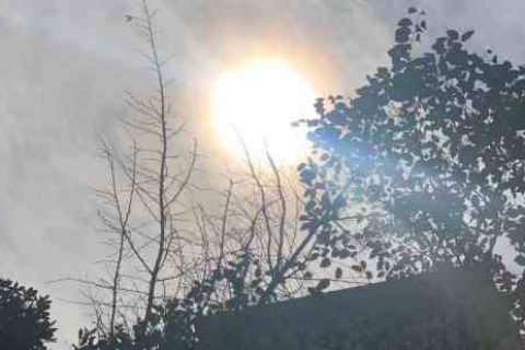 QQ宠物名字设计_尐尐星星亮晶晶游戏宠物名字分享！