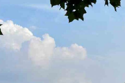 网络游戏经典宠物名字_粉红色小猪猪游戏宠物名字分享！