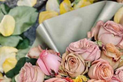 梦幻西游宠物名字 梦幻西游个性BB名字游戏宠物名字分享！