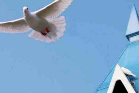 两个字的宠物名字大全_淘淘游戏宠物名字分享！