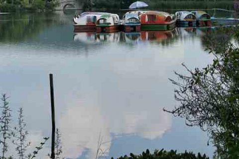 炫舞霸气宠物名字大全_冷眼看迩装游戏宠物名字分享！