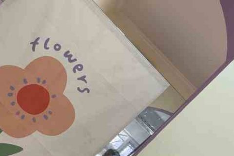 qq炫舞好听的宠物名字游戏宠物名字分享！