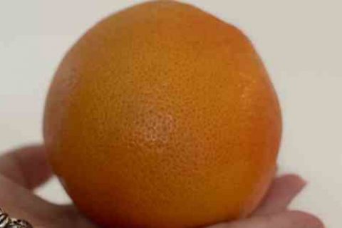 龙之谷宠物名字游戏宠物名字分享！