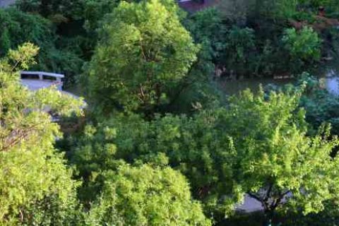 qq闺蜜网名2人游戏QQ名字分享！