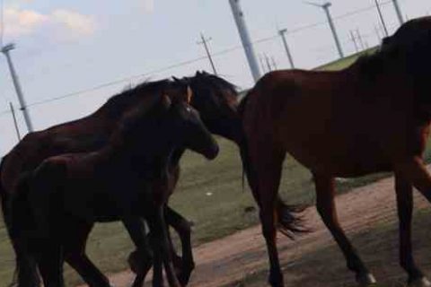 梦幻诛仙2个性游戏名字个性游戏名字分享！