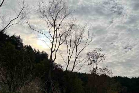 六字飞车昵称大全个性游戏名字分享！