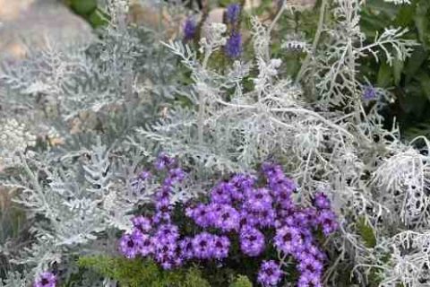 诗意5个字的情侣网名游戏情侣名字分享！