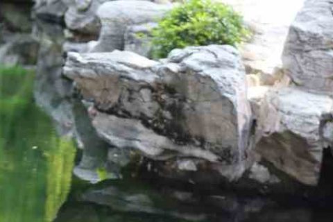 幻想神域情侣名字游戏情侣名字分享！