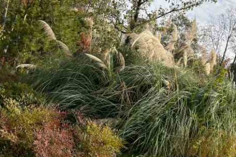 qq飞车情侣名字一对游戏情侣名字分享！