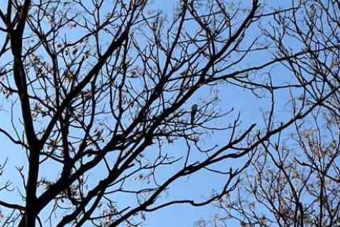 热血江湖情侣名字游戏情侣名字分享！