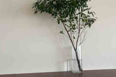 天下3家族名字大全游戏家族名字分享！