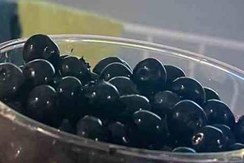 重装上阵男生名字男生游戏名字分享！