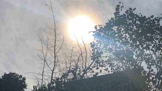 宝可梦大探险可爱网名