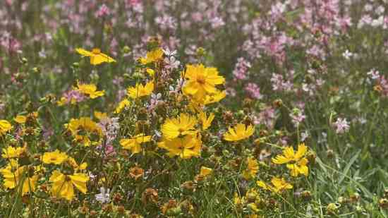王者游戏名温柔伤感