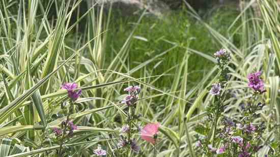 QQ三国好听游戏名字