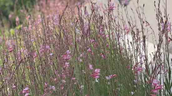 2026最炫游戏名字