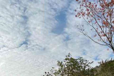 微信网名个性四个字游戏QQ名字分享！