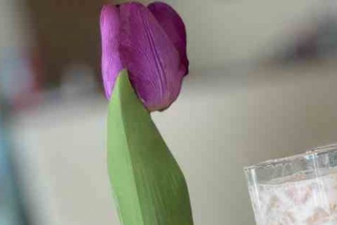 魔兽世界搞笑的个性名字个性游戏名字分享!