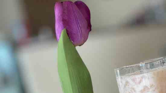 魔兽世界搞笑的个性名字