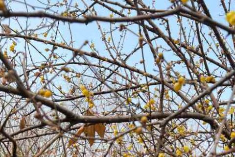 劲舞团情侣名字游戏情侣名字分享!