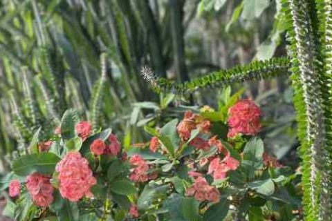 金铲铲之战游戏名字可爱个性游戏名字分享！