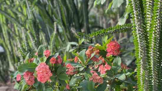 金铲铲之战游戏名字可爱