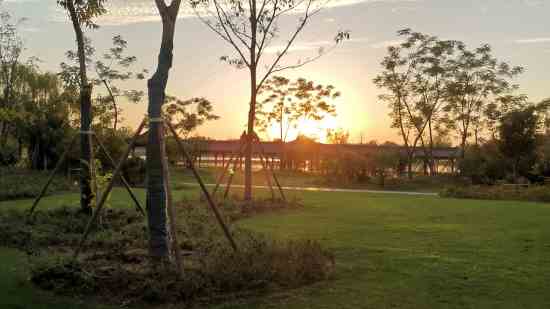 七日世界网名大全男