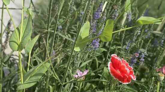 三国如龙传男生游戏名字