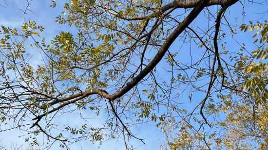 微信女生诗意名字大全