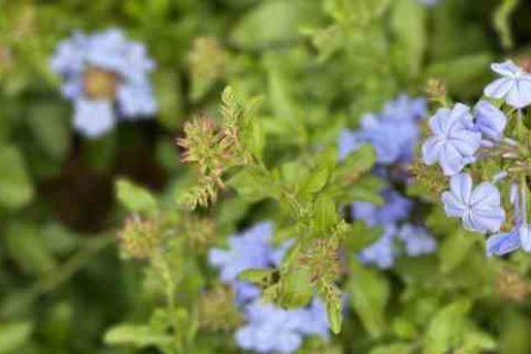 超拽霸气情侣网名游戏QQ名字分享！